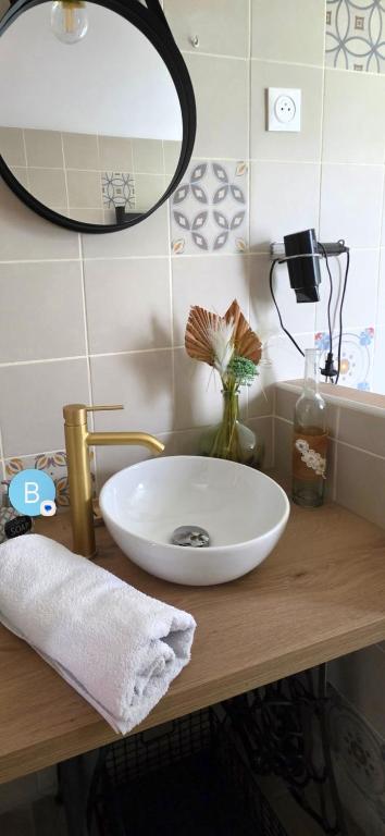a bathroom counter with a sink and a mirror at Studio Bienvenue du côté de chez nous avec jardin privatif in Wignehies