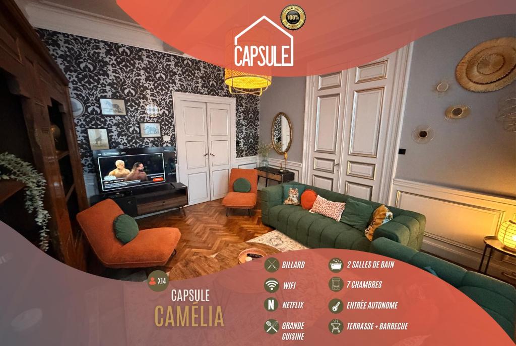 a living room with a couch and a tv at Capsule camelia un charme Montois in Mons