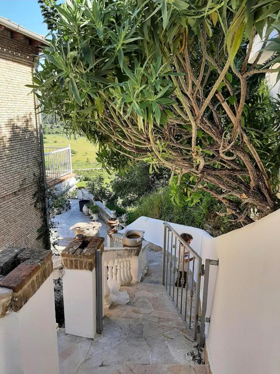 a stairway leading to a garden with a tree at Guesthouse Cato in Vátos
