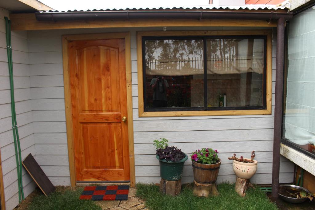 einer Haustür eines Hauses mit zwei Topfpflanzen in der Unterkunft Departamentito Austral in Puerto Montt