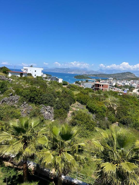 a group of palm trees on top of a hill at Vila 3 palmat in Ksamil
