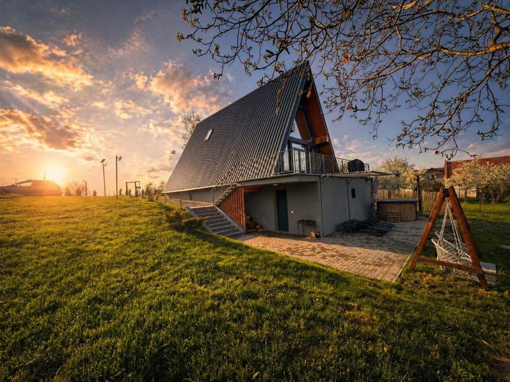 a house with a metal roof on a field at Kapa Chalet Bran in Sohodol