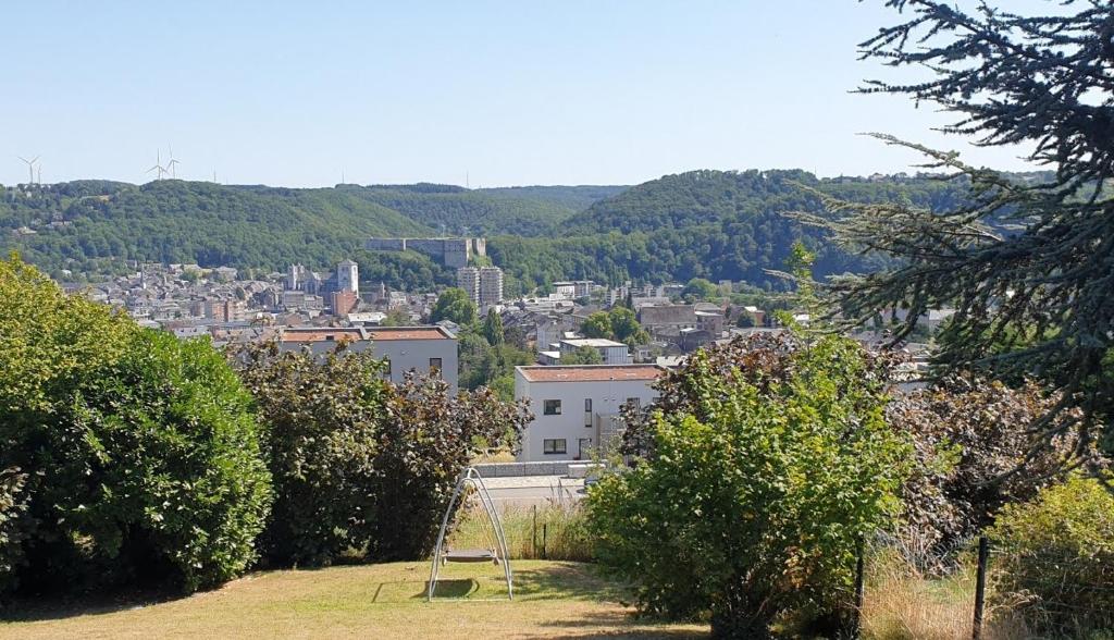 a view of a city from a hill at Chez Djywaii in Huy