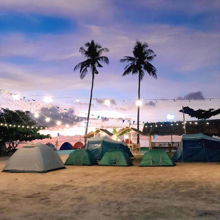 a group of tents on a beach with palm trees at Elenas Campsite in San Vicente