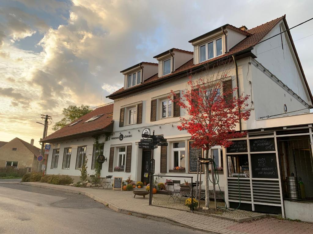 a large white building on the side of a street at Penzion Lívanec in Horní Bezděkov