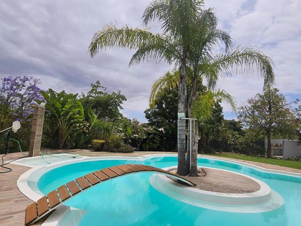 a swimming pool with a palm tree in the middle at Vila das Pétalas in Portimão