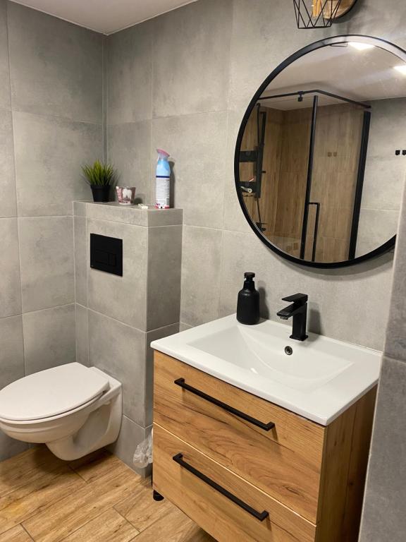a bathroom with a sink and a toilet and a mirror at Apartament Ostrzyce in Ostrzyce