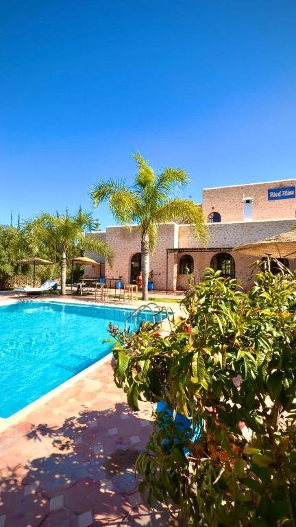 a swimming pool with palm trees in front of a building at Riad Titima Essaouira in Essaouira