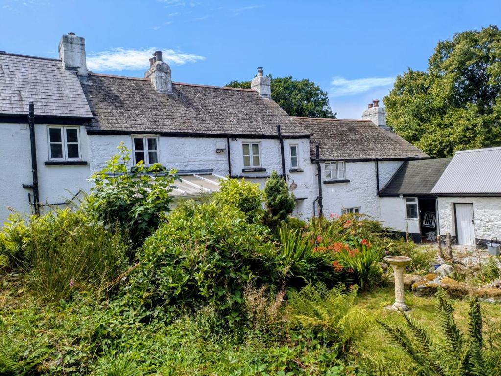 a row of white cottages in a village at Beechwood Farmhouse in Yelverton