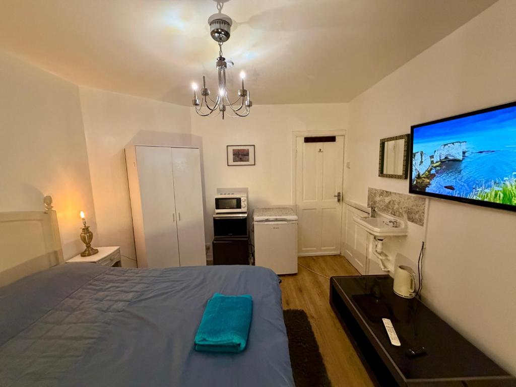 a bedroom with a bed and a flat screen tv at Spacious Double Room with own Sink in Colindale