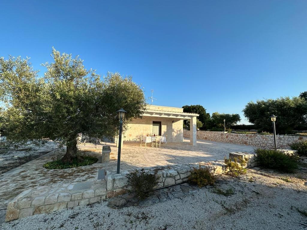 a small house with a tree in front of it at Trullo Cuore di Pietra in Locorotondo