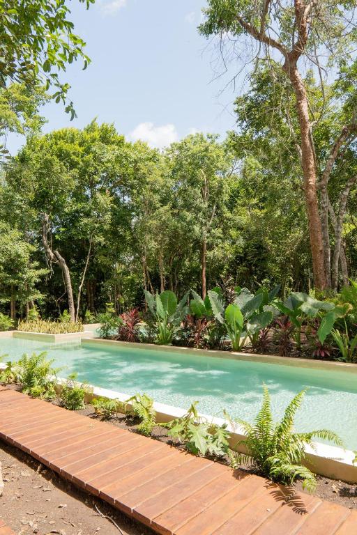 a swimming pool in a garden with trees at Luxury Penthouse, Rooftop Pool and Lagoon in Bacalar