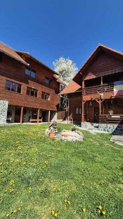 a building with a grass yard in front of it at Pensiunea codru in Sălciua de Jos