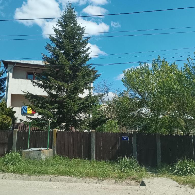 a fence and a pine tree in front of a house at Refugiul din Cozieni in Cozieni
