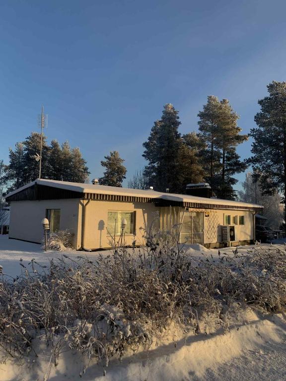 a house in the snow with trees in the background at Aurora House in Pello