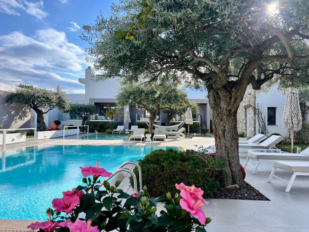 a pool with chairs and a tree and flowers at Thassos OLIVIA RESORT in Potos