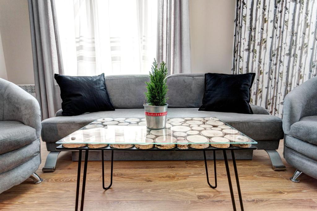 Apartamenty Parkowa - One-Bedroom Apartment