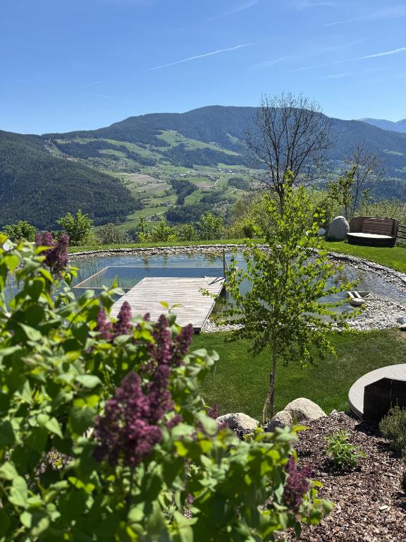 DILIA Chalets & Apartments