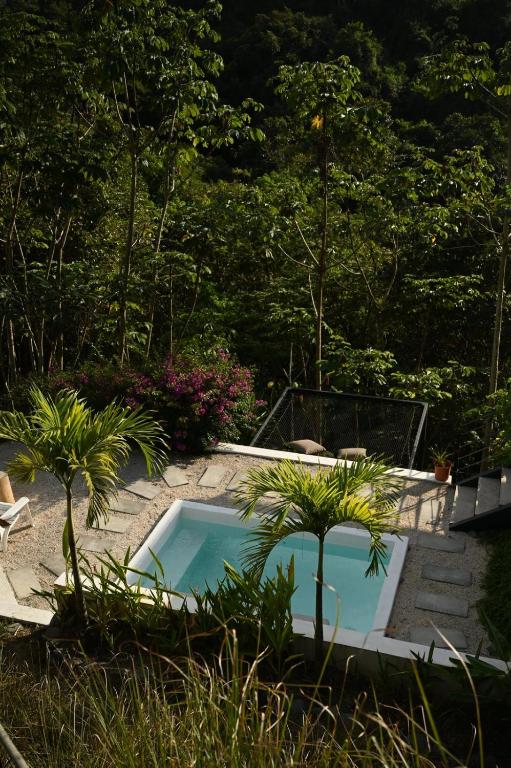 a swimming pool in a garden with two palm trees at Villa Wayra in Santa Teresa Beach