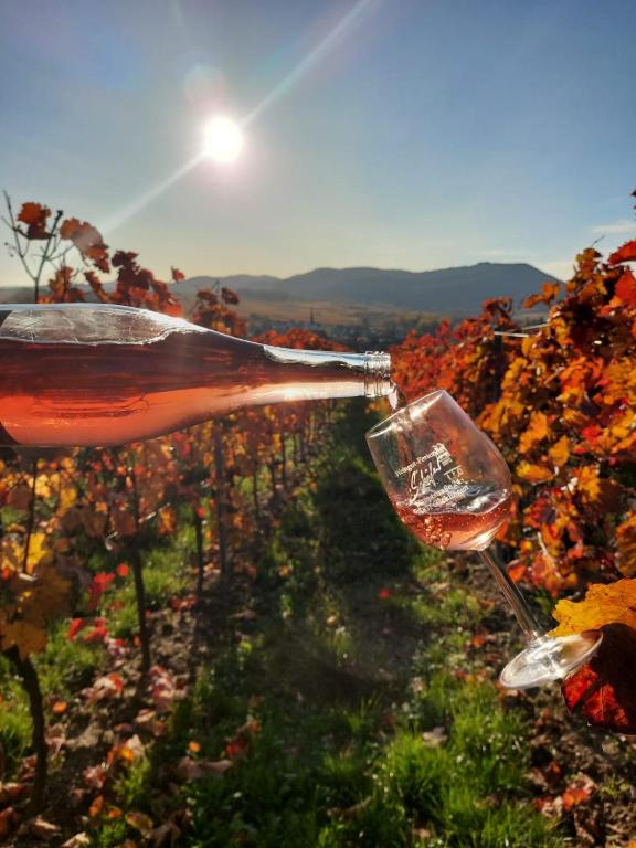 a bottle of wine being poured into a glass in a vineyard at Ferienweingut Schäfer in Niedersteinbach