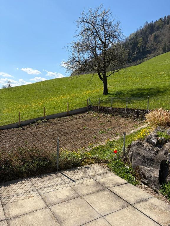 a fence around a field with a tree on a hill at Ferienwohnung Bürgenblick in Kehrsiten