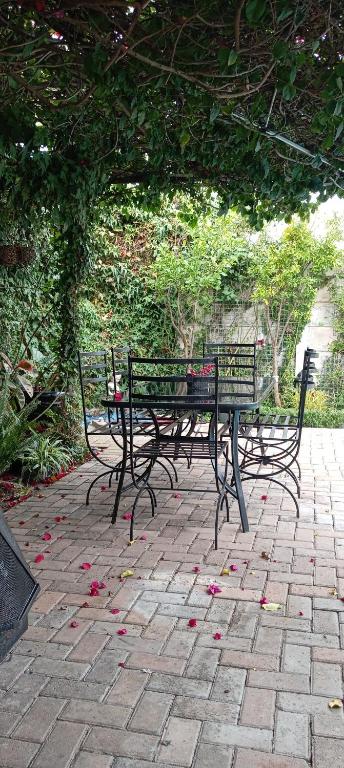 two benches sitting on a brick ground with flowers at 16 on Point in Parow