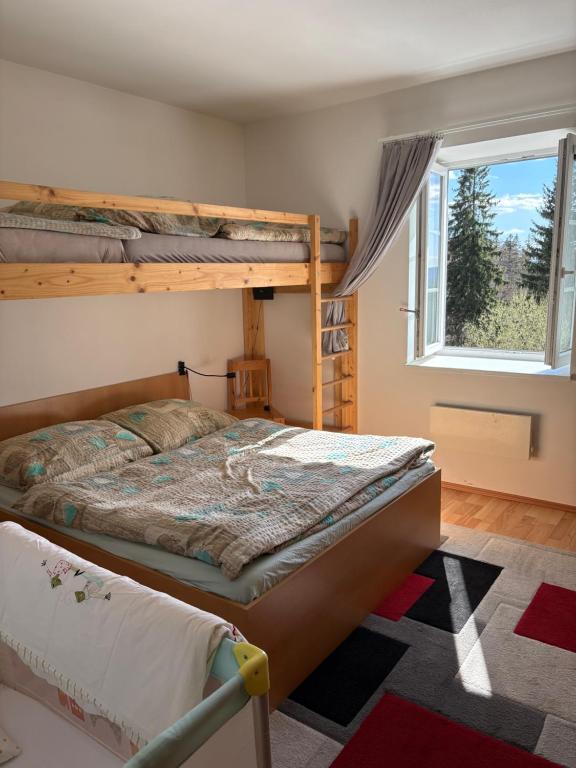 a bedroom with two bunk beds and a window at Apartmán Meluzína in Staré Hamry