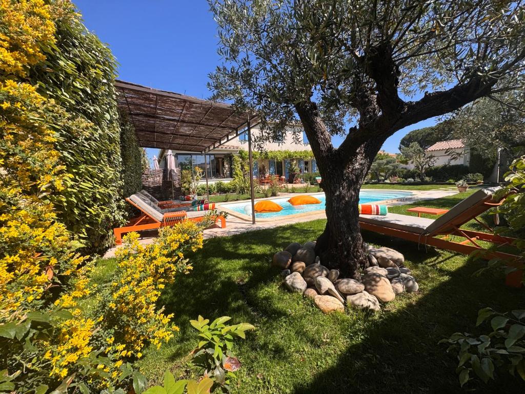 a tree sitting next to a swimming pool at La Bastide des Romarins in Plan-dʼOrgon