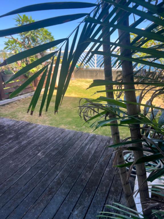 Sunset studio with garden - photo 9 - Tahiti, Polynésie