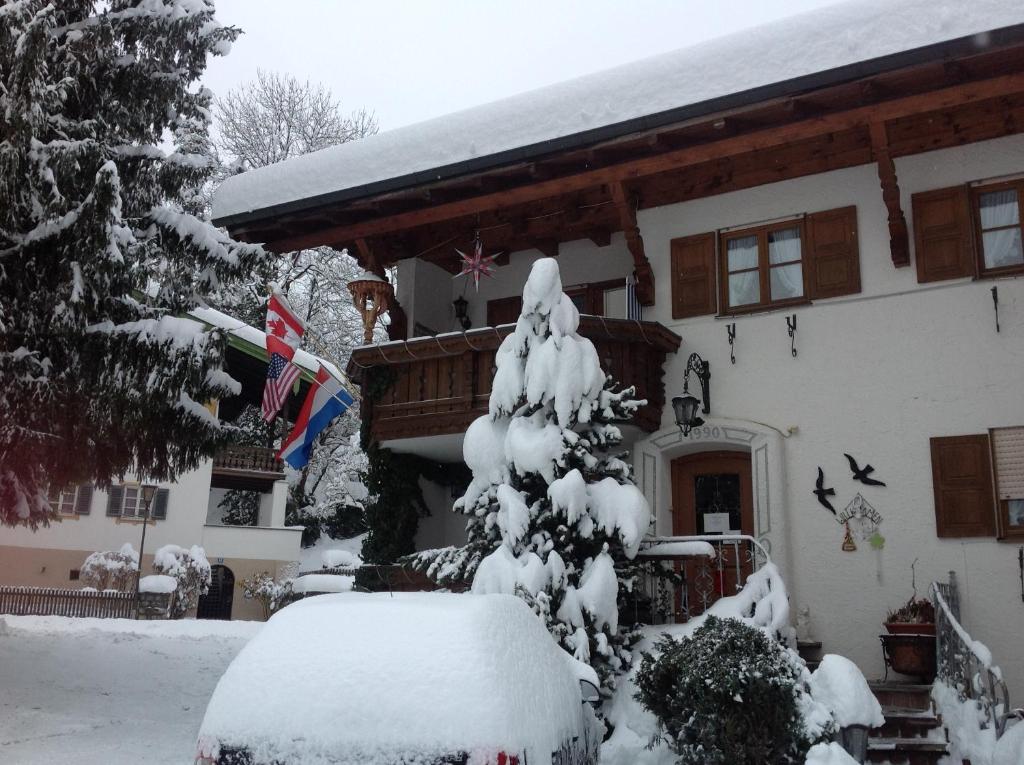a snow covered tree in front of a house at Apartements Ingrid Unhoch-Raggl in Oberammergau