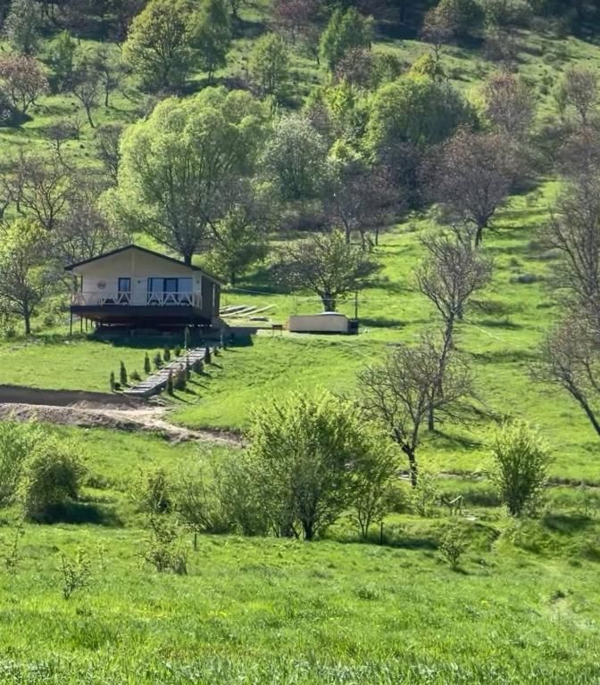 a house in the middle of a green field at VaavHouse in Tyudov