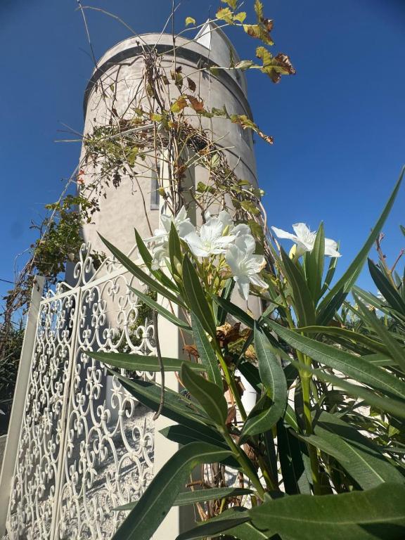 a white tower with a plant in front of it at Torre Biancaluna in Vico del Gargano