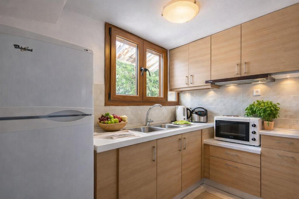 a kitchen with a sink and a microwave at Natsios Apartments in Vlachopoulátika