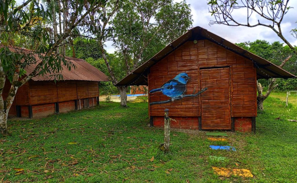 a blue bird painted on the side of a house at Ecopradera Lodge in San José del Guaviare