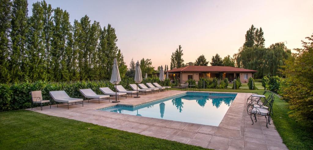 a pool with chairs and umbrellas in a yard at Verde Oliva Casa de Huéspedes in Maipú