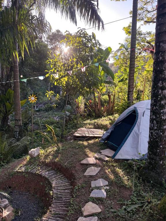a tent in a forest with a path and a tree at Camping Místico - Vale do Ribeira in Juquiá