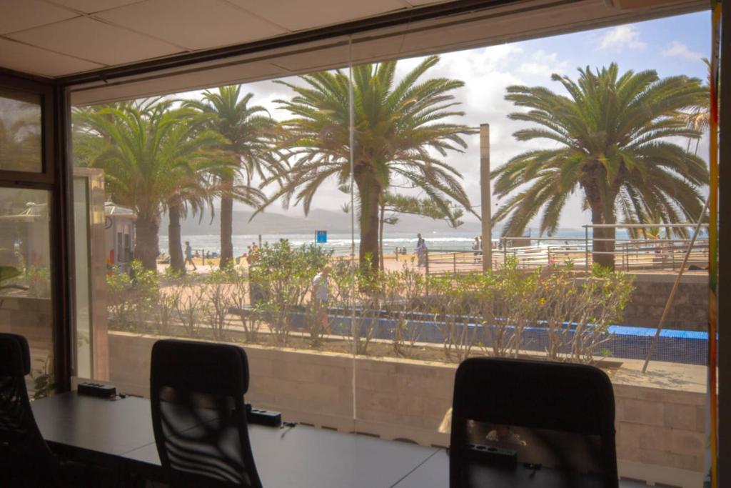 a room with a view of a beach and palm trees at Hostel Tropical Work in Las Palmas de Gran Canaria