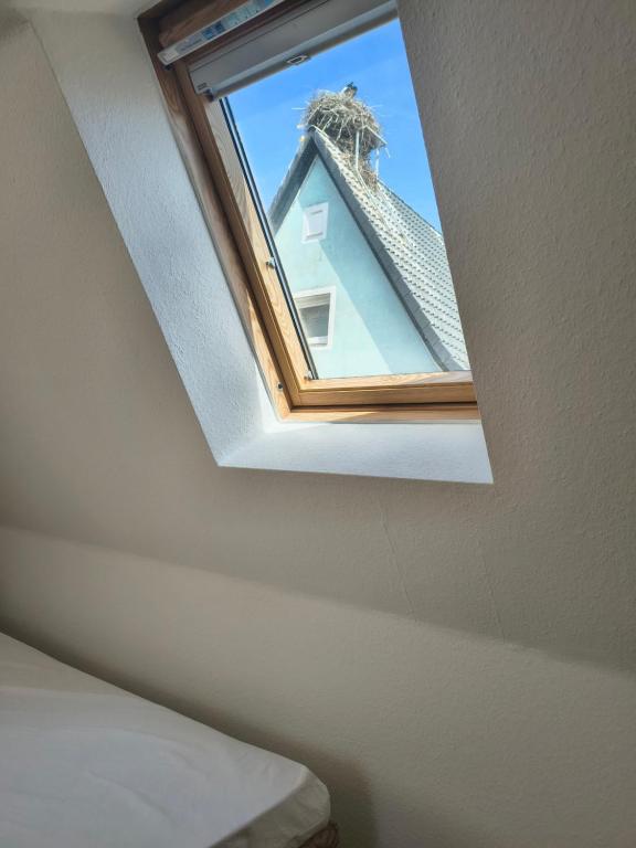 a window in a room with a roof at Vodita in Höchstadt an der Aisch