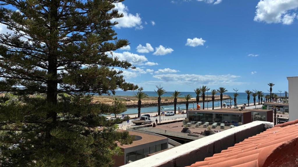 a view of a beach with palm trees and the ocean at casa 20 centro in Lagos