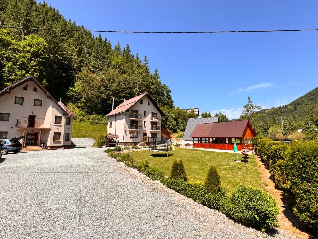 a house on the side of a road with houses at Pensiunea Emanuel in Gârda de Sus