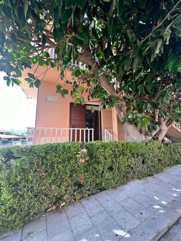 a house with a hedge in front of a building at Camera Ficus in San Teodoro