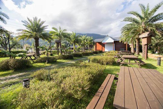 Photo from Ruisui Palm Lakes B&B in Ruisui Township,  Ruisui, Hualien County, Taiwan