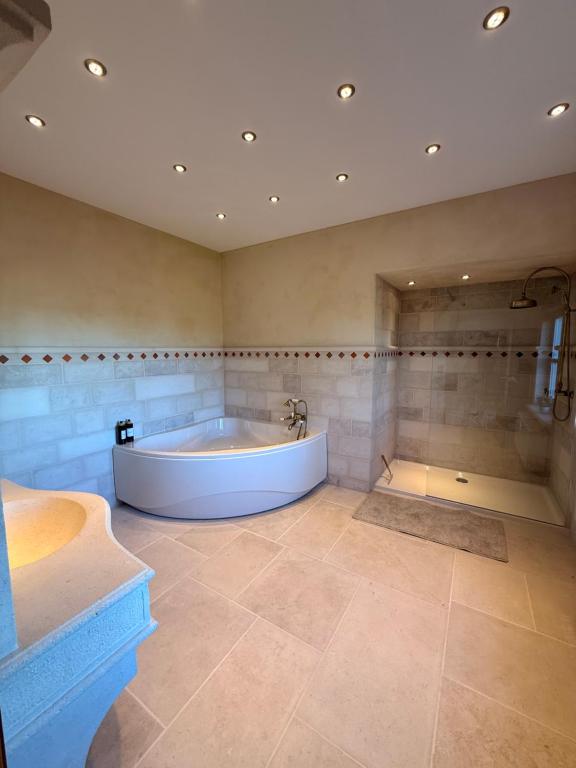 a large bathroom with a tub and a shower at Château D - Roncheval in Mouscron