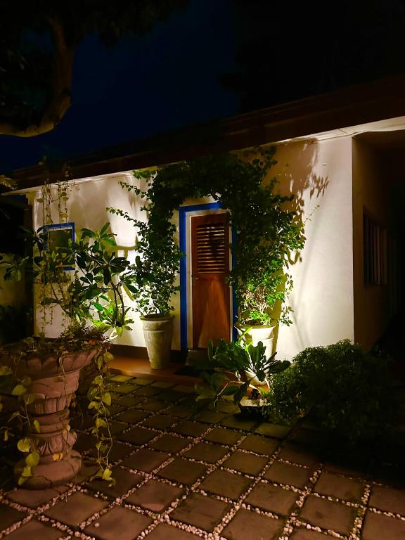 a house with a blue window and some plants at Solitude in Sri Jayewardenepura Kotte