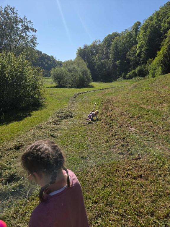 a woman walking through a field with a animal in the distance at Haus im Wald in Loka pri Žusmu