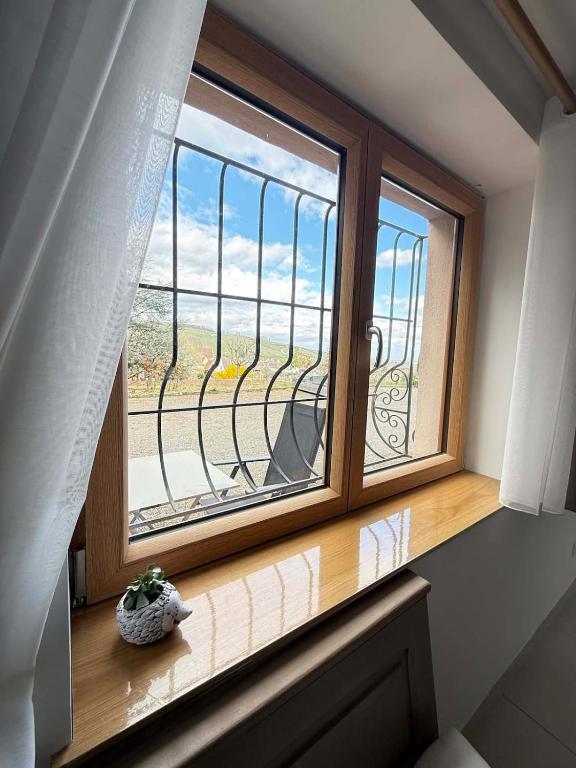 "Vignoble & jardin - Parking privé" à Riquewihr – photo 9