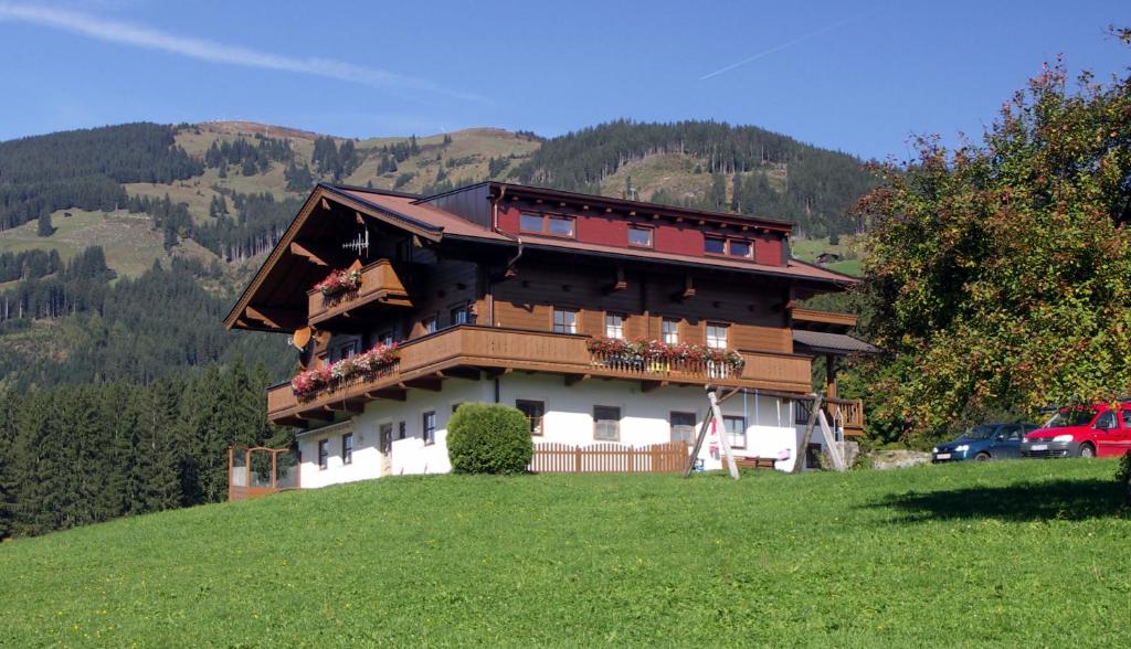a house on the side of a hill at Apartment Bauernhof Thurnummerstall in Hollersbach im Pinzgau
