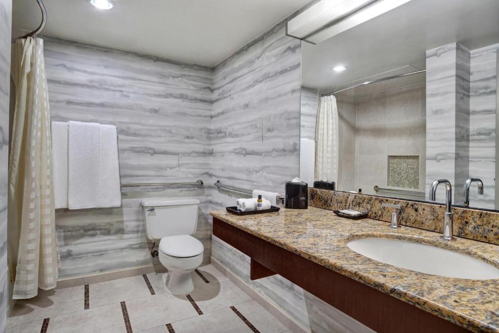 Hyatt Regency DFW International Airport - 