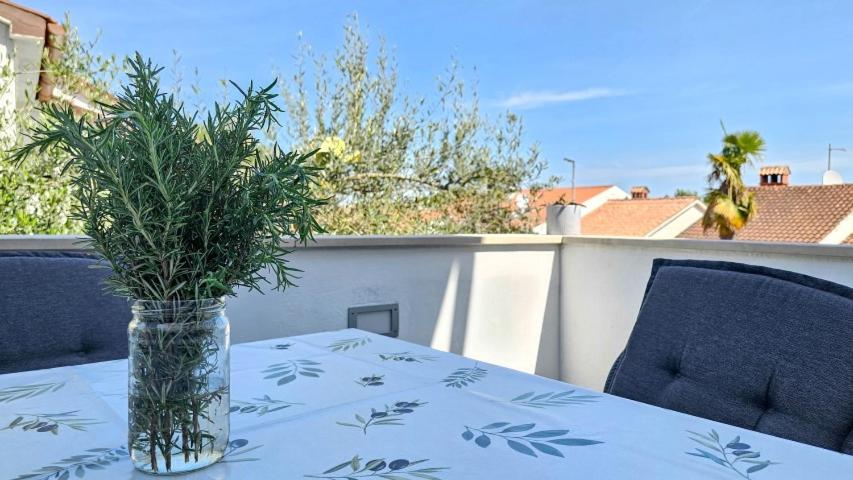 a vase with a plant on a table on a balcony at Ivanka A2 in Dajla
