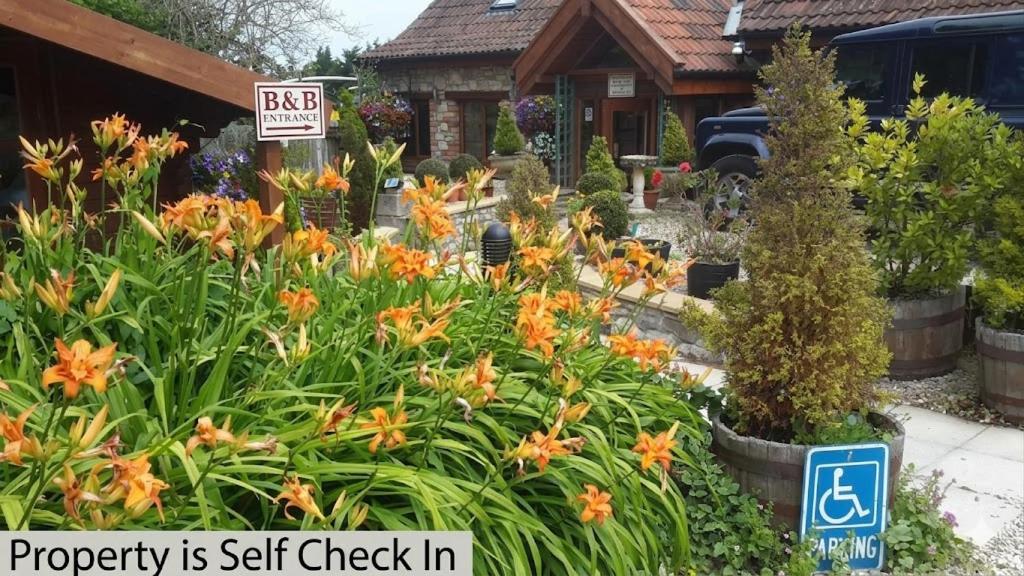 a garden with orange flowers in front of a house at Bridge Farm Guesthouse rooms in Bristol